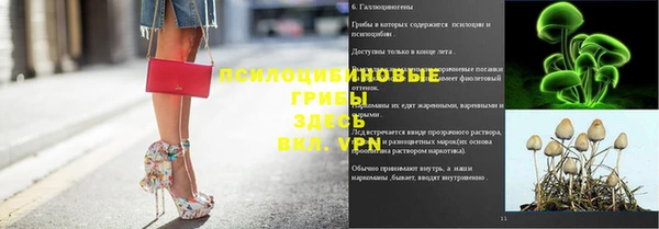 шишки Краснотурьинск