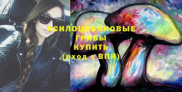 мяу мяу кристалл Корсаков