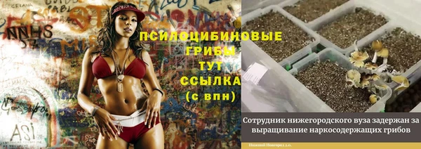 мяу мяу кристалл Корсаков