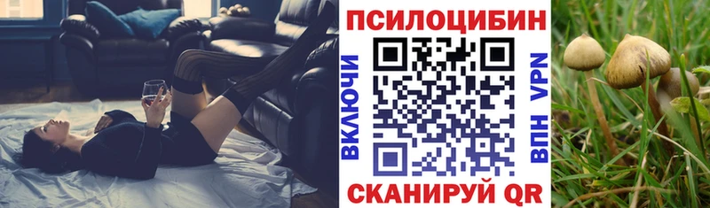 наркошоп  Невельск  Псилоцибиновые грибы Cubensis 